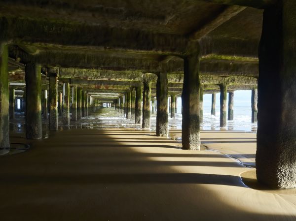 Pier And Beam Leveling in Westminster